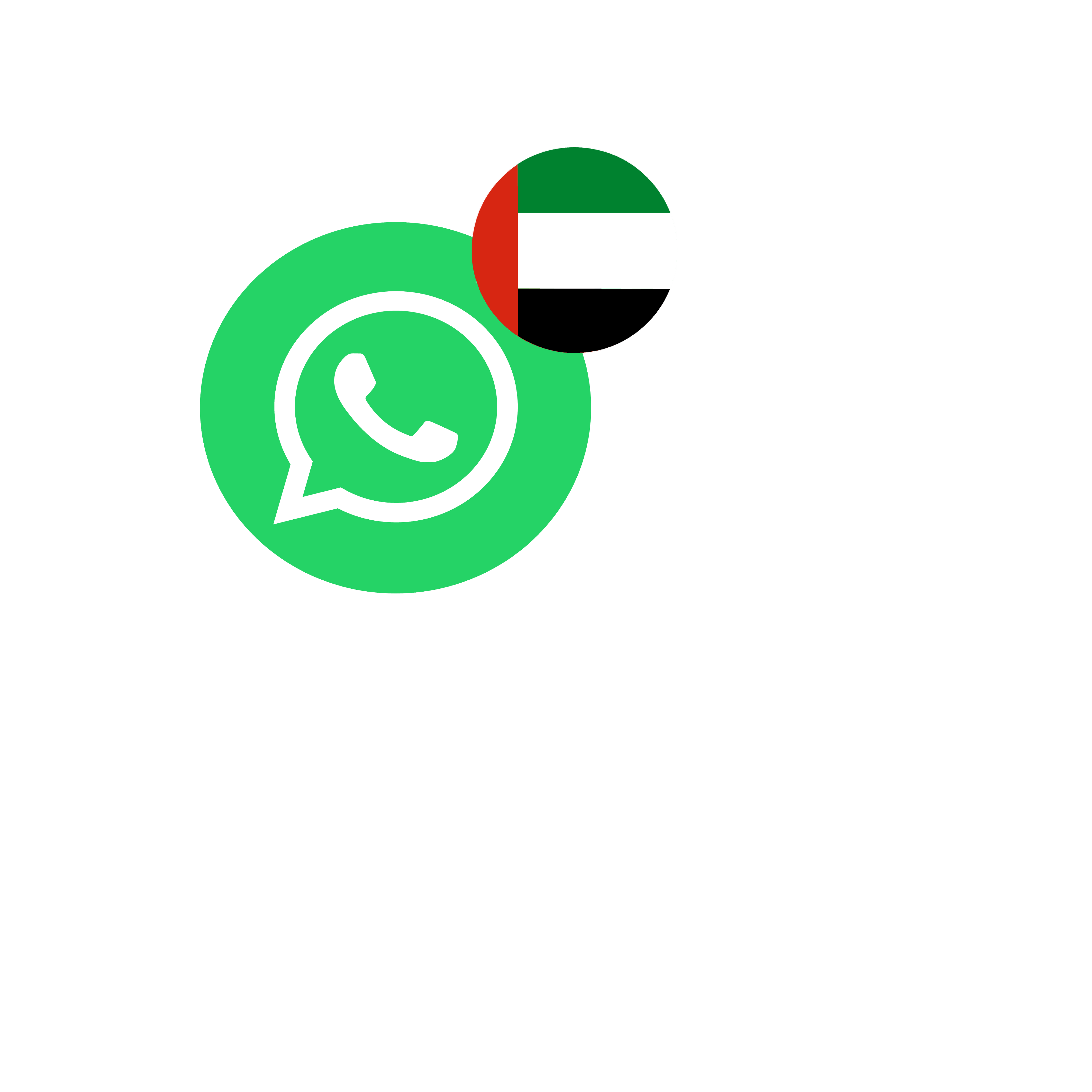 whatsapp icon4